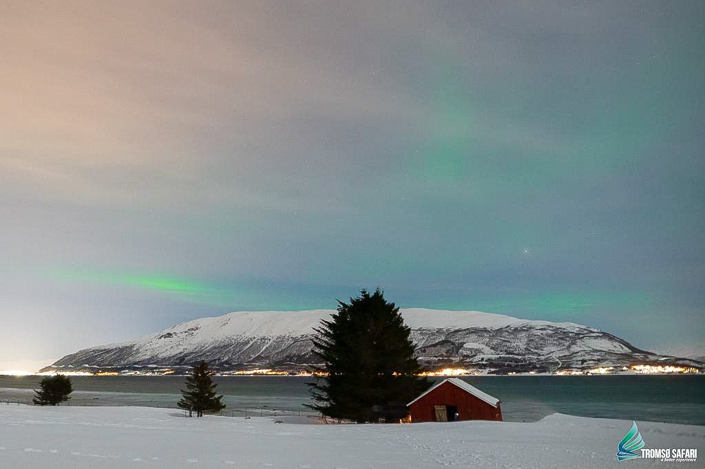 chasse aux aurores boréales à Tromsø