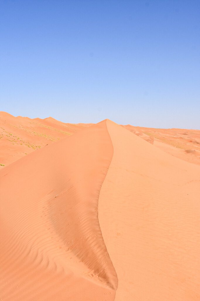 Les belles dunes du désert d'Oman